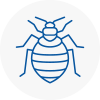 Bed Bug Extermination In Ilkley